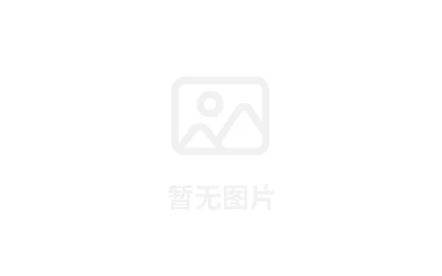 智能枕木